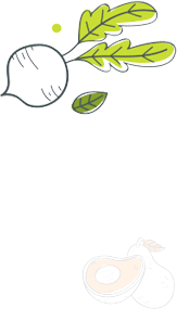 Zanahoria